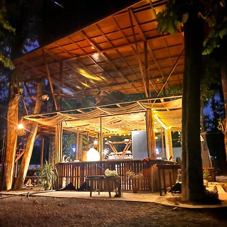 Happy Lemon Tree Lodge Sauraha Zewnętrze zdjęcie