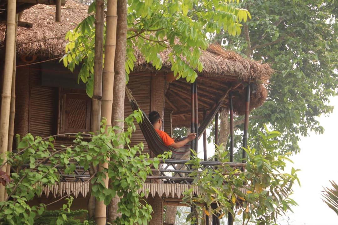 Happy Lemon Tree Lodge Sauraha Zewnętrze zdjęcie