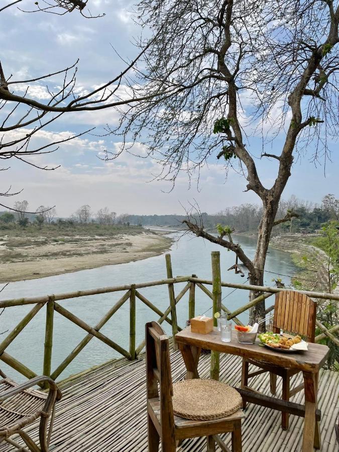 Happy Lemon Tree Lodge Sauraha Zewnętrze zdjęcie