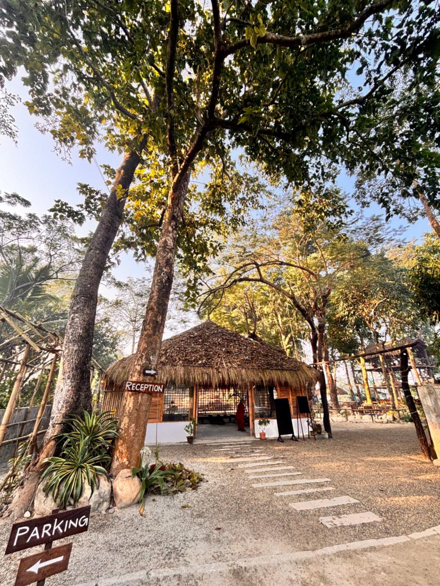 Happy Lemon Tree Lodge Sauraha Zewnętrze zdjęcie