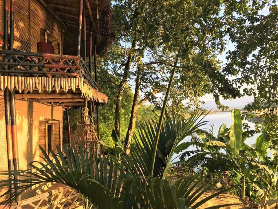 Happy Lemon Tree Lodge Sauraha Zewnętrze zdjęcie