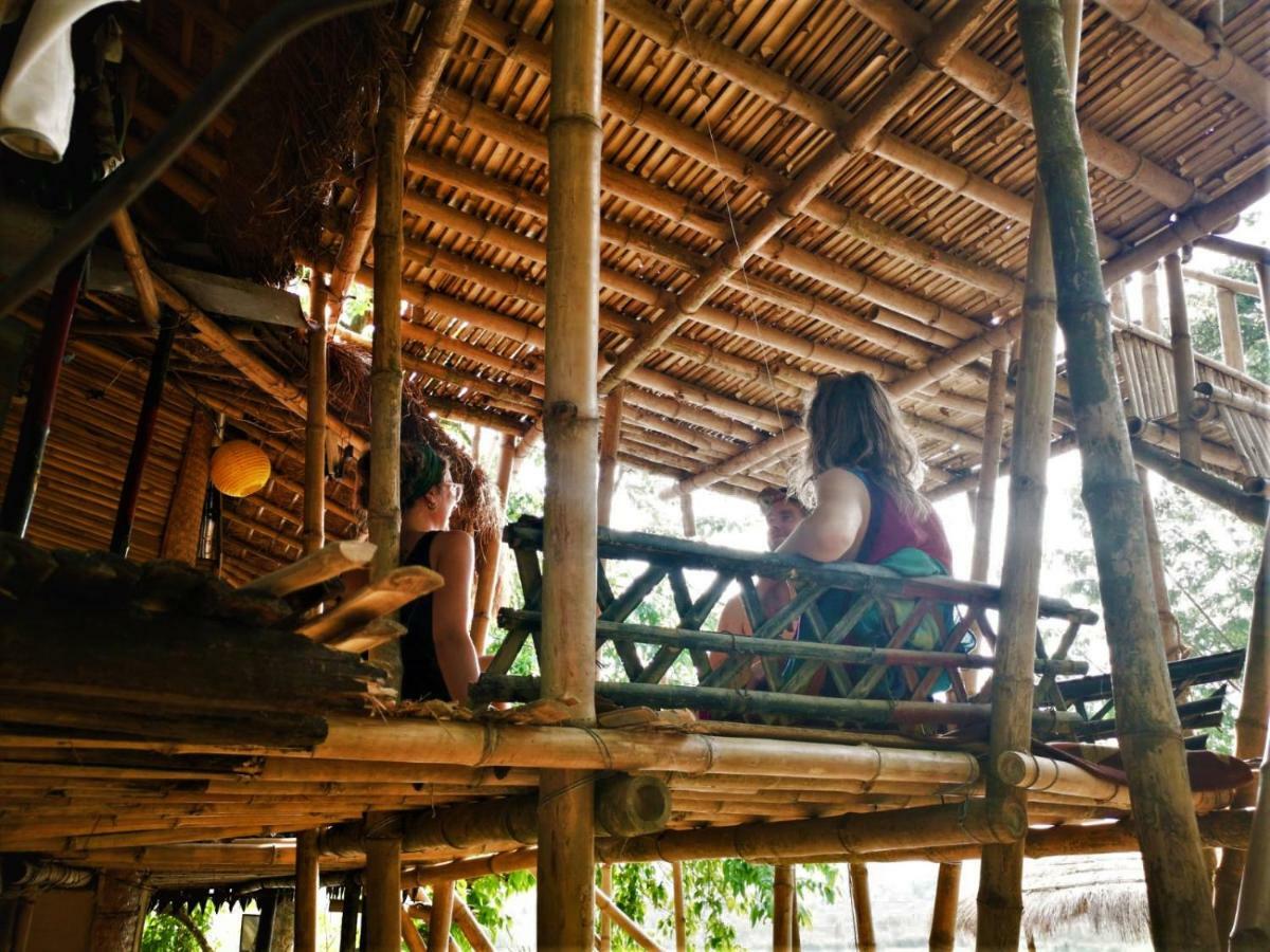 Happy Lemon Tree Lodge Sauraha Zewnętrze zdjęcie